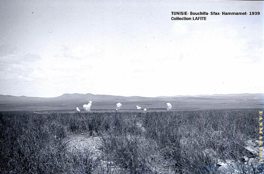 TUNISIE 1939  66 EME  REGIMENT D ARTILLERIE (27).jpg